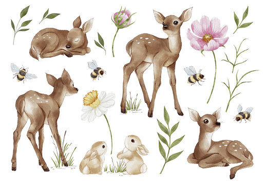 Watercolor Forest Animals Clipart Set with Baby Deer, Bunnies, Bees, Wildflowers. Hand Painted Woodland Elements in Natural Tones for Nursery Prints, Baby Shower Invitations and Kids Design Projects