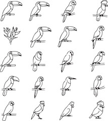 20 Toucan Bird Line Art Illustrations: Perfect for Design Projects