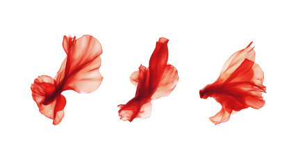 Three aces floating mid-air in slow motion isolated on a transparent background