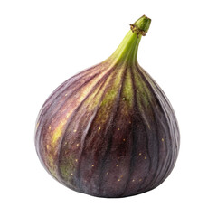 Single ripe dark purple fig isolated on black background