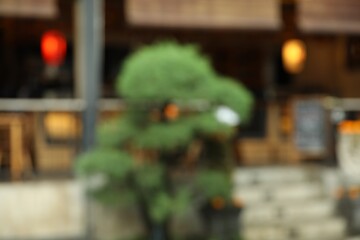 Blurred view of street with cafe and green plant