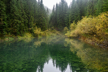 Lake Rosokhan near Osmoloda in Ivano-Frankivsk region, Ukraine. The leaf fall forest is reflected in water of lake. Autumn landscape.