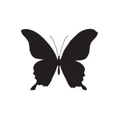 Elegant Butterfly Silhouette Vector Design, Black and White Butterfly, butterfly pattern, t-shirt design butterfly, Decorative Butterfly Silhouette Artwork, butterfly shape, silhouette animal,