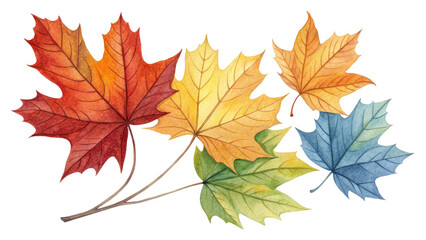 Watercolor Autumn Maple Leaves Composition Isolated on Transparent Background, Fall Foliage Illustration, Seasonal Design, Autumn, Leaves, Watercolor
