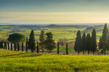 Sunset landscape in Maremma. Rolling hills and cypress trees along the road to Casale...
