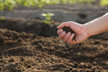 Man holding pile of soil in field, closeup. Space for text