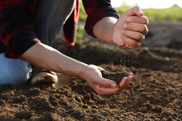 Man holding pile of soil in field, closeup