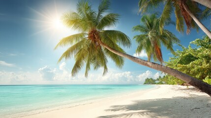 Tropical beach paradise with palm trees and clear blue water under sunny skies