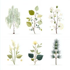 Medicinal Trees in Illustration: Willow, Birch, and Linden