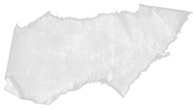 Hoja de papel rota. Hoja h&uacute;meda. White ripped paper torn edges strips isolated on white background. PNG