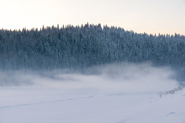 Snow-covered landscape with a dense forest of evergreen trees in the background, mist rising from...