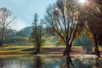 Sunlight filtering through autumn trees by a tranquil pond with reflections, gentle mist rising...