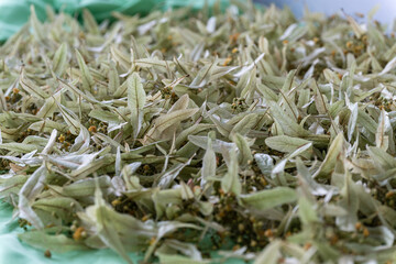 Dried linden leaves and flowers for herbal tea preparation.