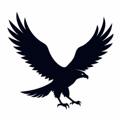 Obraz premium eagle in the form