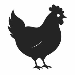 vector illustration of a chicken