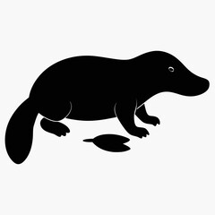 vector illustration of a black and white shark