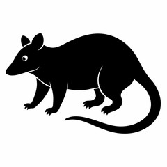 Obraz premium kangaroo vector illustration