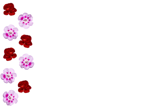 Barra lateral de flores de geranio