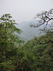 A breathtaking panoramic view of lush green mountains and dense forests, showcasing the untouched natural beauty of the Himalayan landscape in Uttarakhand, India.