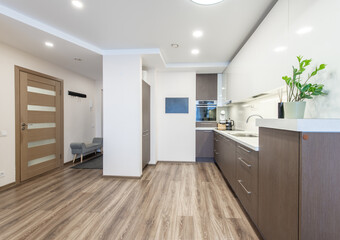 Modern Home Open Kitchen and Living Area with Wooden Floors and Bright Lighting