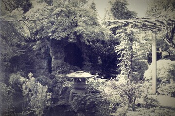 Black and white photo. Traditional Japanese garden.