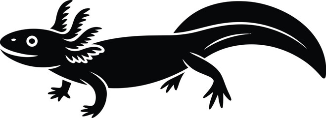 A black and white illustration of an axolotl with feathery gills and a curved tail on a white background