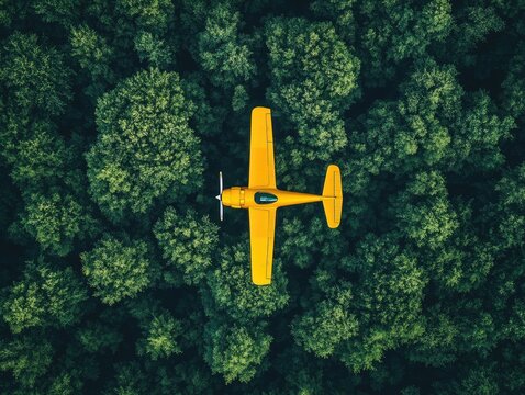 Aerial view of a yellow plane over a dense forest