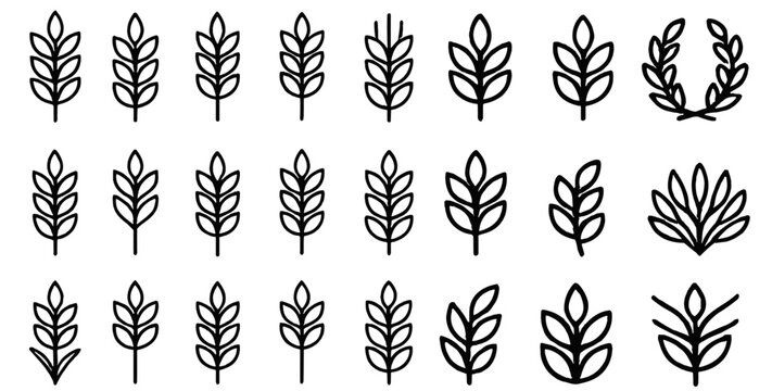 Wheat ears vector illustration, agriculture, farming, harvest, cereal, grain, organic, bread, nature, rural, food, plant, flour, countryside, vector illustration.