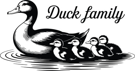 A black and white illustration of a duck with three ducklings in the water on a white background