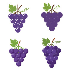 A grape vector design illustration | Fully white background, good and clean design and eye catching design.