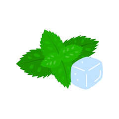 Cute hand drawn flat mint leaves and ice cube isolated on white background.