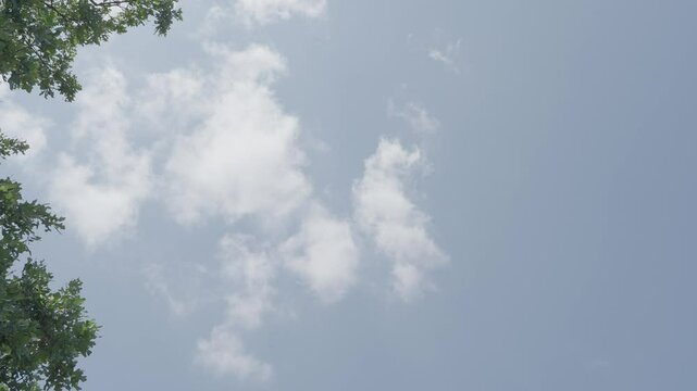 Scattered cloudscape time lapse
