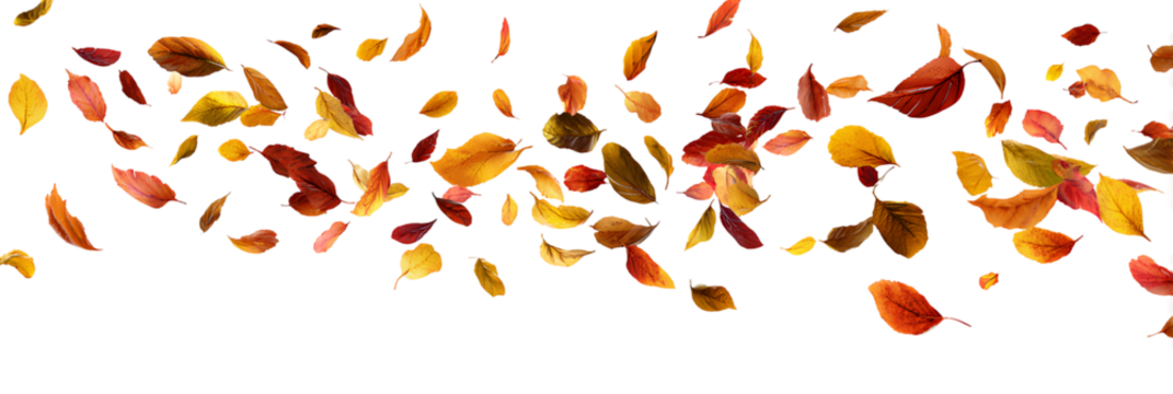 Falling Autumn Leaves Transparent Background