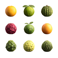 Fototapeta premium Three Rows of Textured and Colored Citrus Fruits on transparent Background.