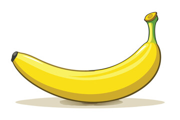  illustration  of banana vector .