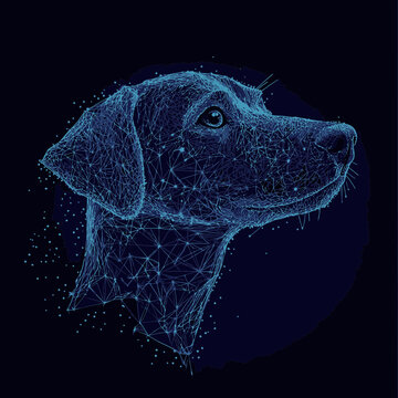 Low poly wireframe dog head illustration digital mesh structure with glowing blue points on dark background futuristic technology style portrait of canine animal vector art