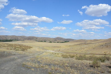 Golden Steppe Landscape with Rolling Hills under Blue Sky and White Clouds, Rural Dirt Road Leading into the Distance, Tranquil Summer Scene of Open Countryside