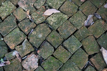 Old brick floor