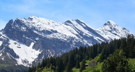 Majestic snow-capped mountains rise above lush green valleys, showcasing the breathtaking beauty of nature in the Swiss Alps, inviting hikers to explore the stunning landscape