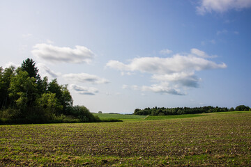 Peaceful rural landscape in the countryside with fields and forests