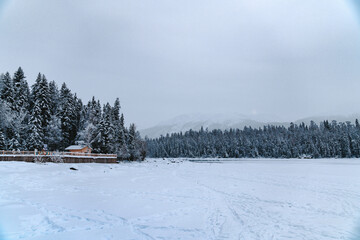 Winter Wonderland: Serene Ice Lake and Pine Forest