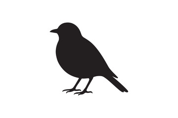 Obraz premium Robin bird silhouette on white background.