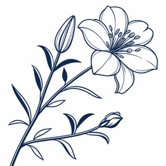 black and white moss rose