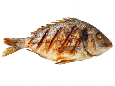 Grilled Fish Delicious Recipe, Preparation, and Cooking Guide
