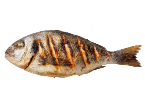 Grilled Fish Delicious Recipe and Preparation Guide