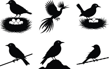 Fototapeta premium Bird Silhouette illustration, Flying Birds Svg Vector Art and White Background. Bird icon graphics.