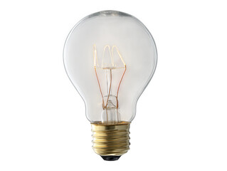 Vintage Edison Style Light Bulb Clear Glass, Warm Light