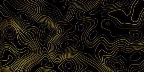 Obraz premium Gradient color topology and topography vector design abstract background contour map texture for print works . black curve line background with wave shape vector illustration. 