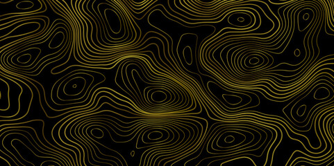 Gradient color topology and topography vector design abstract background contour map texture for print works . black curve line background with wave shape vector illustration.	