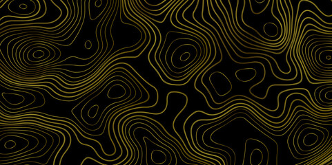 Gradient color topology and topography vector design abstract background contour map texture for print works . black curve line background with wave shape vector illustration.	
